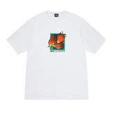 Stussy Berries Tee - White